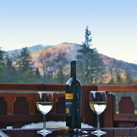 Enzo C 103 Chopok Juh タレ