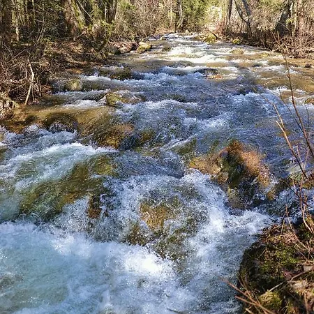 Enzo C 103 Chopok Juh *