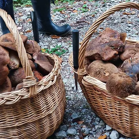 Enzo C 103 Chopok Juh