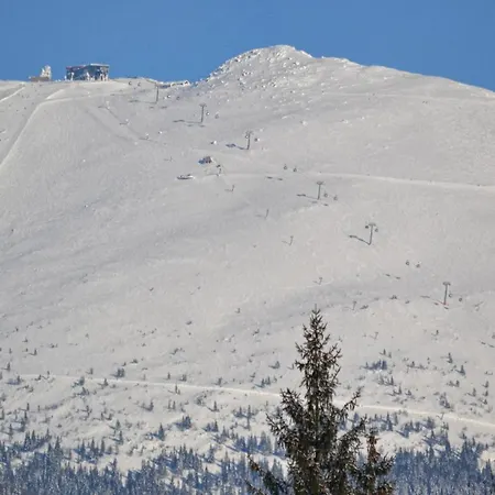 Enzo C 103 Chopok Juh * タレ